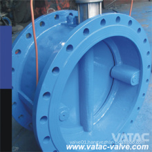 Cast Iron RF Flanged Butterfly Check Valve